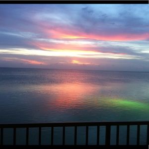 Meet your Posher, Suzette